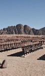 Abandoned Cinema Left To The Storms Of The Sinai Desert