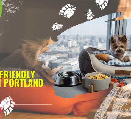 15 Best Pet Friendly Hotels In Portland OR – Top Hotels