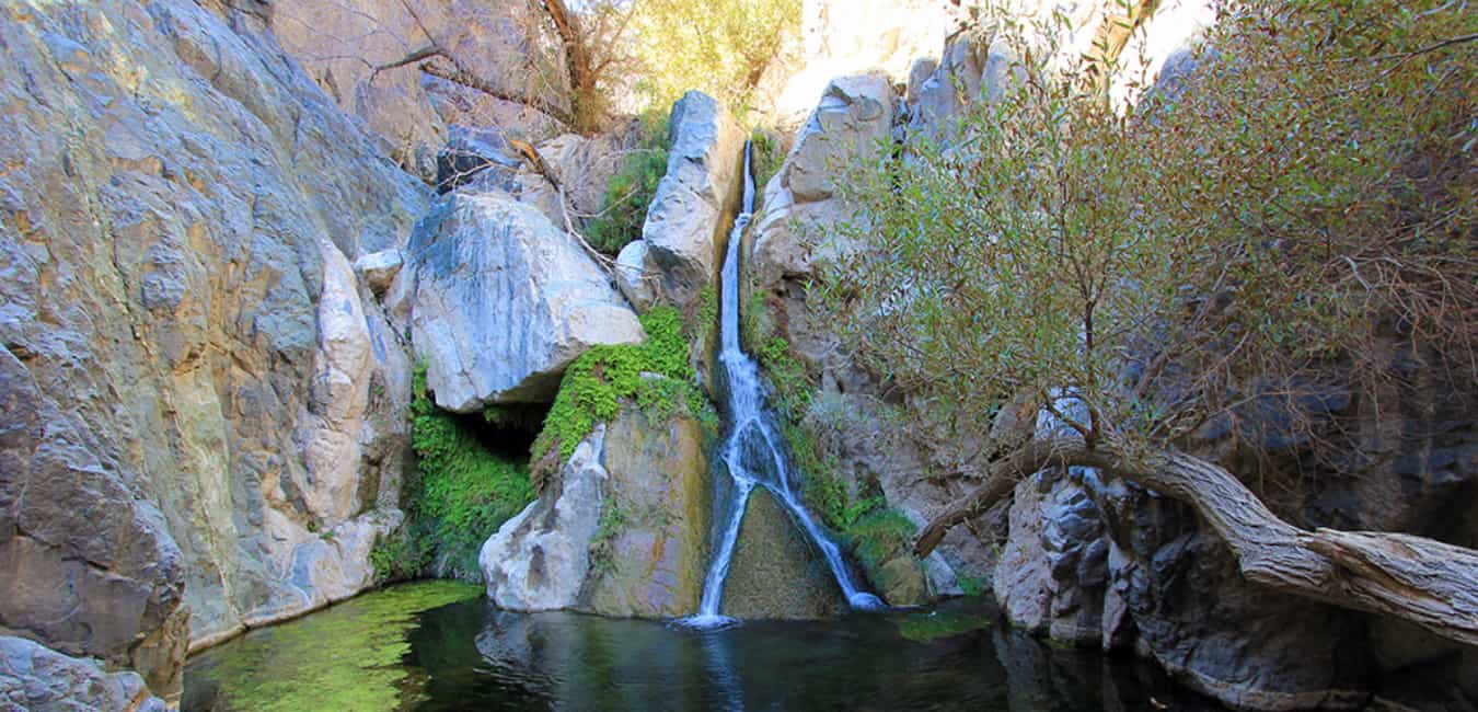 Darwin Falls - Only waterfall in the Death Valley