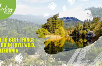 The 10 Best Things to Do in Idyllwild, California